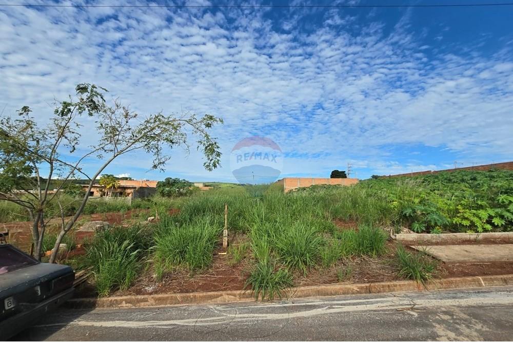Terreno - Venda - Ribeirão Preto , São Paulo - WhatsApp Image 2025-04-17 at 15.43.11 (2).jpeg - 780101051-1