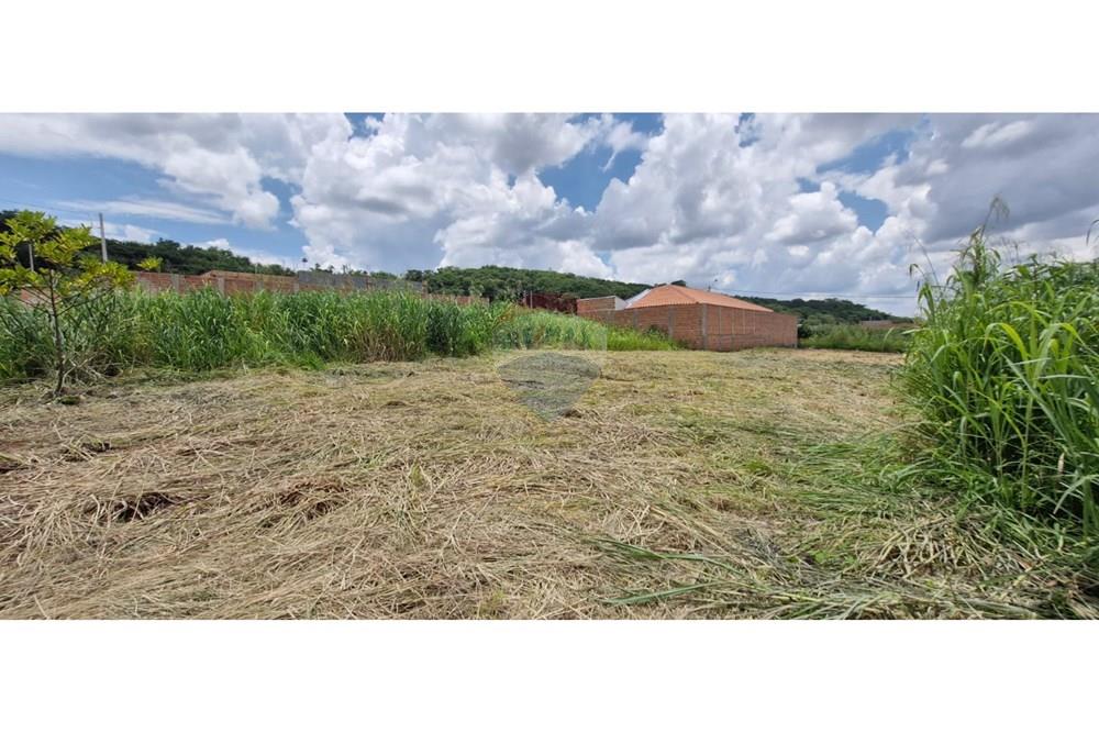 Terreno - Venda - Ribeirão Preto , São Paulo - WhatsApp Image 2025-01-13 at 18.45.43 (2).jpeg - 780181011-259