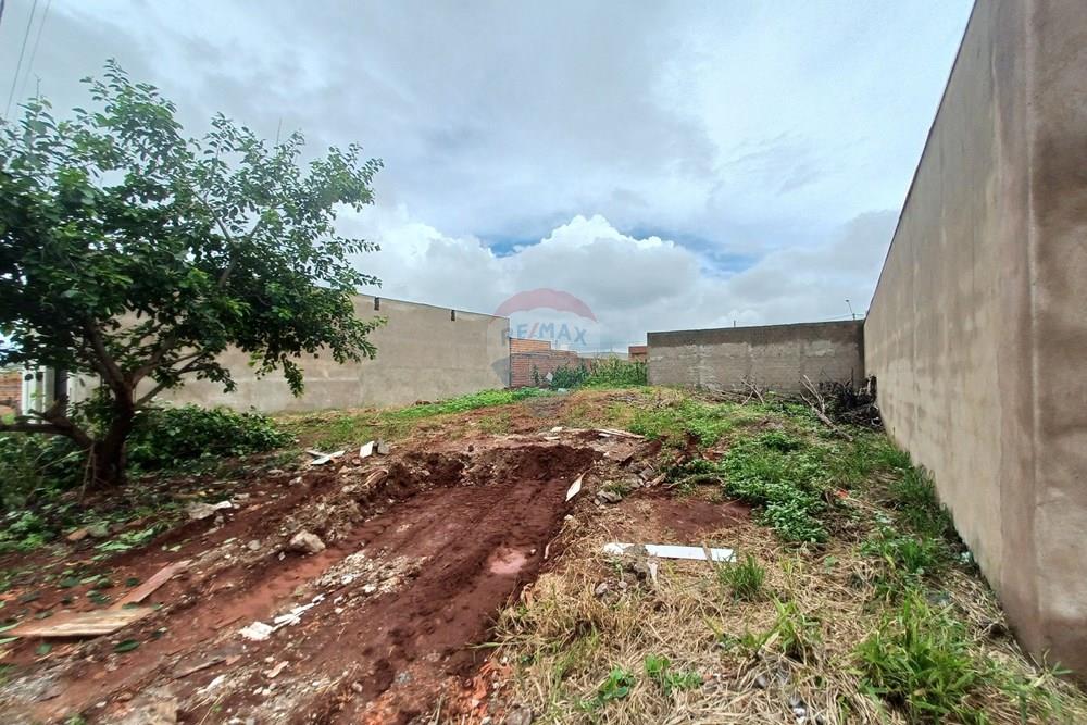 Terreno - Venda - Cravinhos , São Paulo - 20260225_114951.jpg - 780121006-94