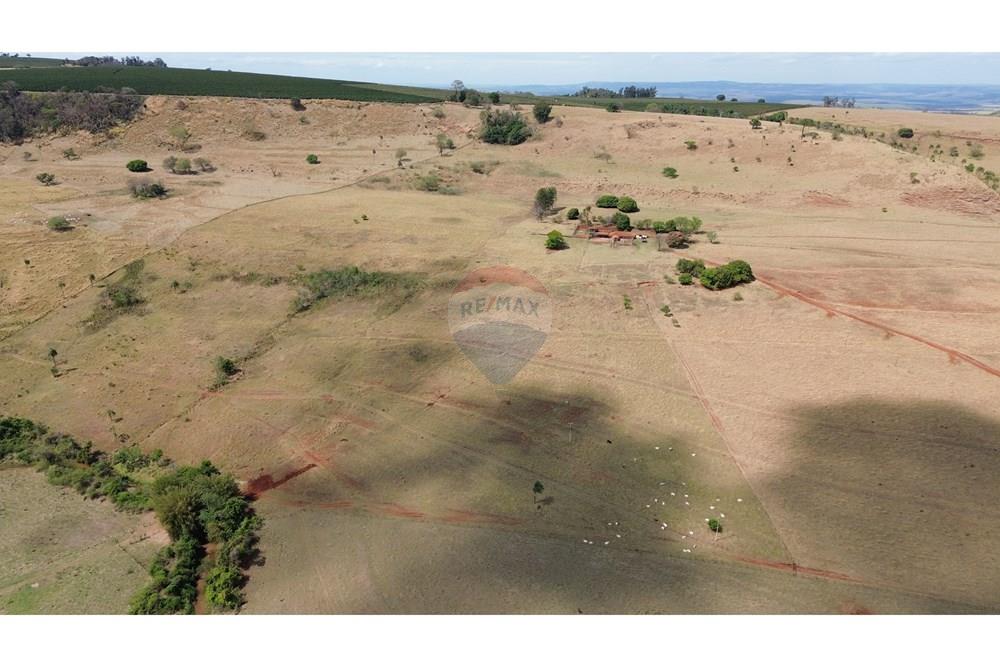 Chácara / Sítio / Fazenda - Venda - Cajuru , São Paulo - DJI_0277.JPG - 780171030-77