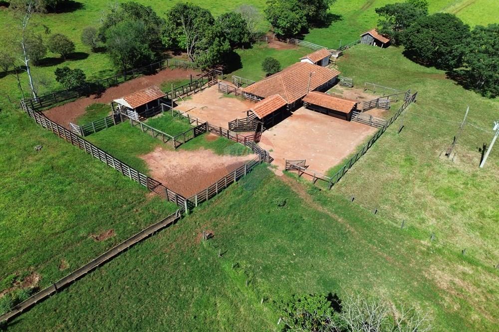 Fazenda - Venda - Cajuru , São Paulo - DJI_0007.JPG - 780171030-74