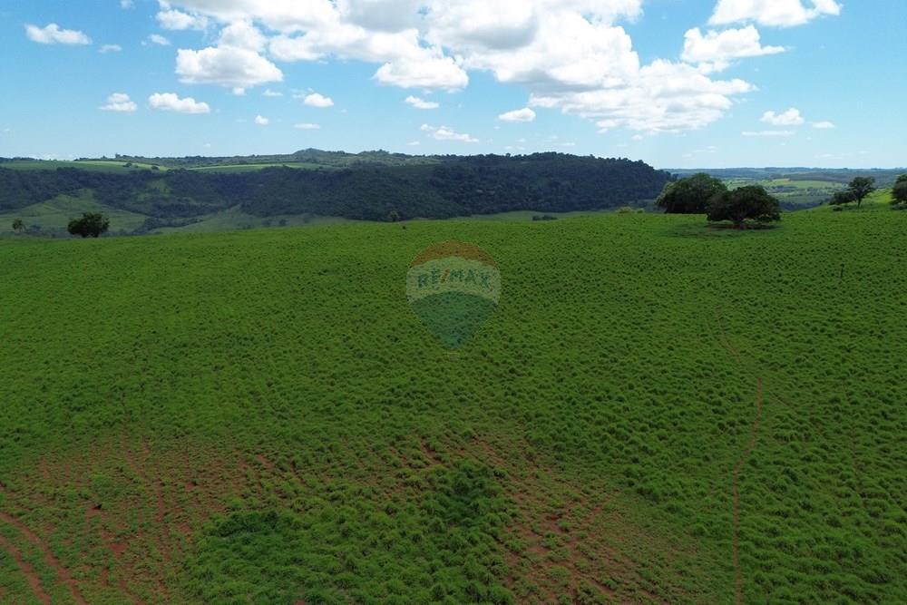 Fazenda - Venda - Cajuru , São Paulo - DJI_0036.JPG - 780171030-74