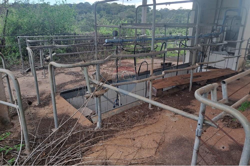 Chácara / Sítio / Fazenda - Venda - Cajuru , São Paulo - IMG-20250406-WA0106.jpg - 780171030-59