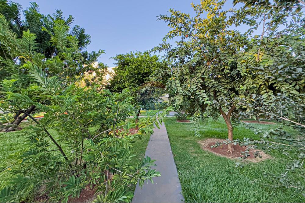 Chácara / Sítio / Fazenda - Venda - Jaboticabal , São Paulo - Foto 06-03-2025, 18 08 19.jpg - 780271054-33