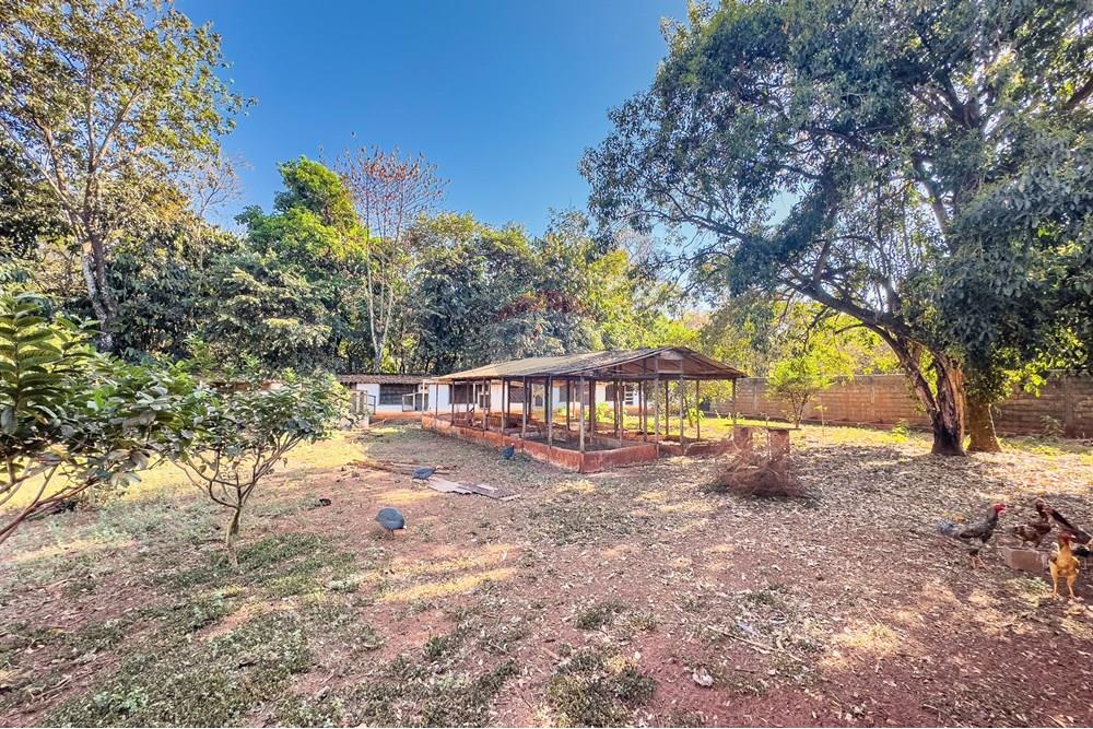 Chácara / Sítio / Fazenda - Venda - Ribeirão Preto , São Paulo - Itanhanga-36.jpg - Jardim Externo - 780071024-78