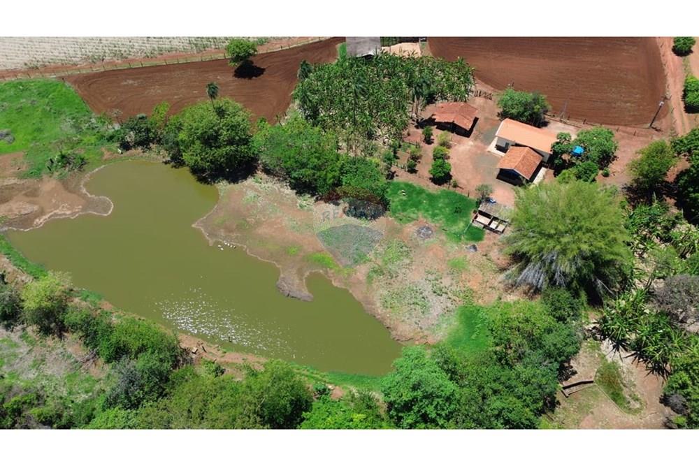 Chácara / Sítio / Fazenda - Venda - Buritizal , São Paulo - WhatsApp Image 2025-11-08 at 17.10.08 (1).jpeg - 780131009-139