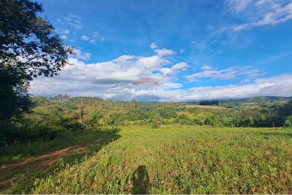 Fazenda - Venda - Cajuru , São Paulo - IMG-20250406-WA0189.jpg - 780171030-57