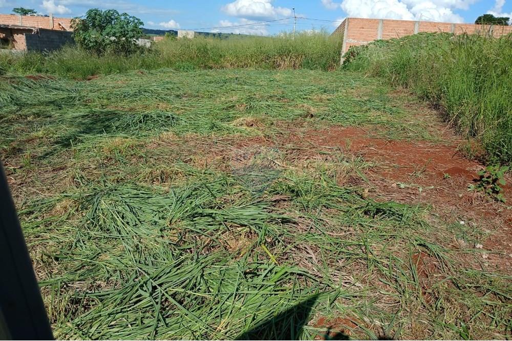 Terreno - Venda - Ribeirão Preto , São Paulo - WhatsApp_Image_2025-04-22_at_20.22.37[1].jpeg - 780101051-1