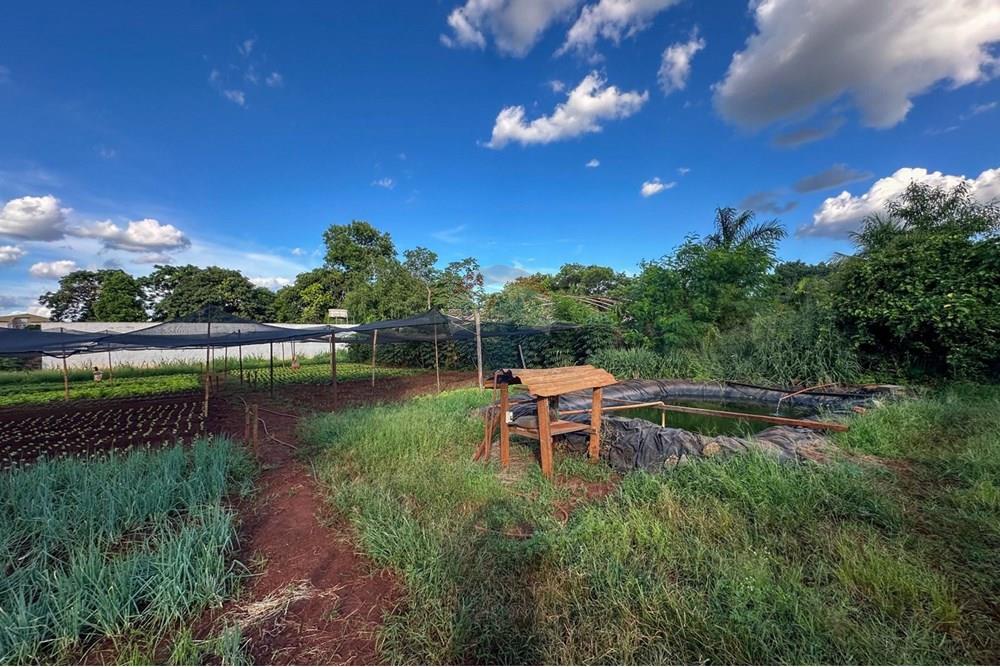 Terreno - Venda - Ribeirão Preto , São Paulo - 19.jpg - 780241010-16