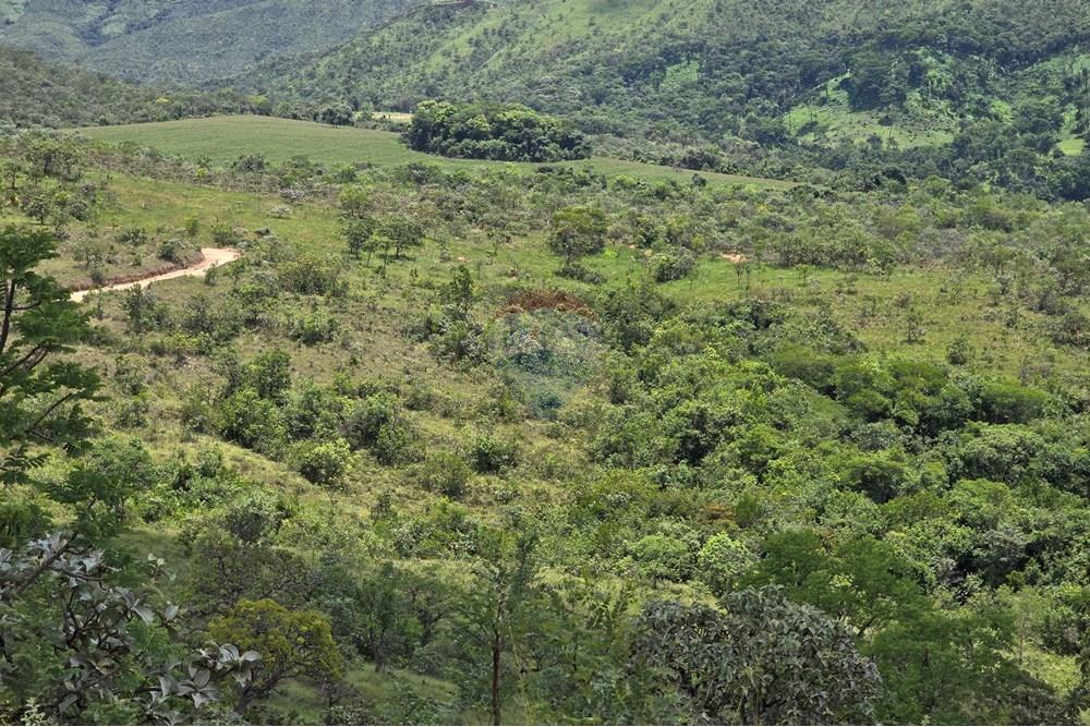 Chácara / Sítio / Fazenda - Venda - Delfinópolis , Minas Gerais - 20250110_124256.jpg - 780251001-45