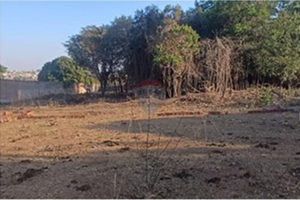 Chácara / Sítio / Fazenda - Venda - Franca , São Paulo - Imagem do WhatsApp de 2025-09-22 à(s) 10.23.59_05f7f39a.jpg - 780231075-4