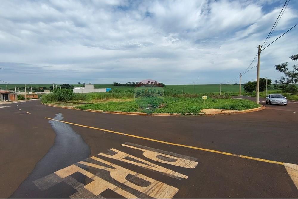 Terreno - Venda - Ribeirão Preto , São Paulo - WhatsApp Image 2025-02-14 at 12.11.35 (2).jpeg - 780201008-123