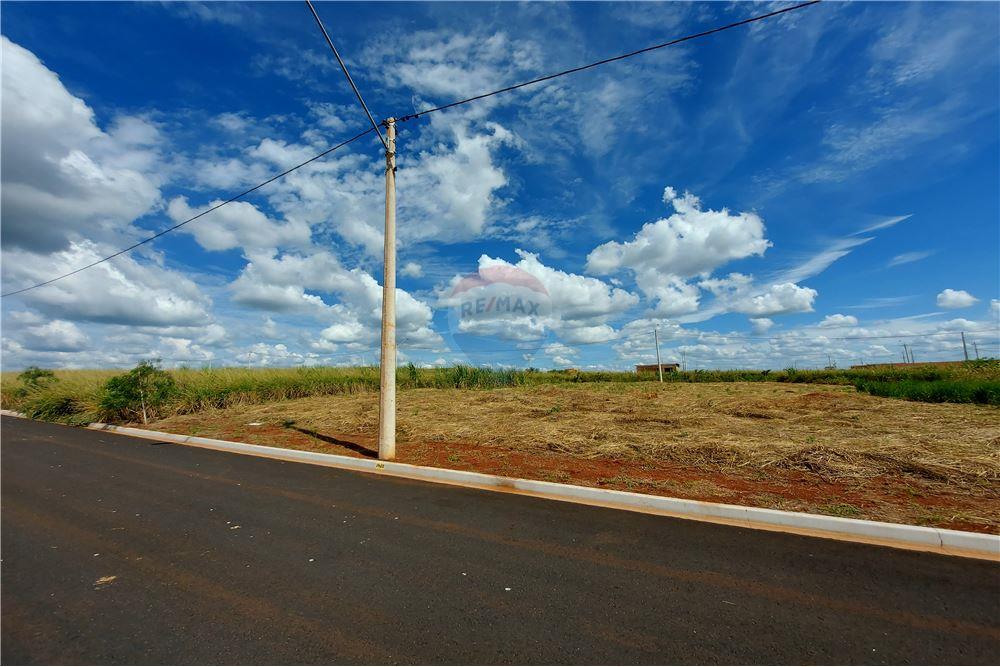 Terreno - Venda - Cravinhos , São Paulo - 10 - 780071037-60