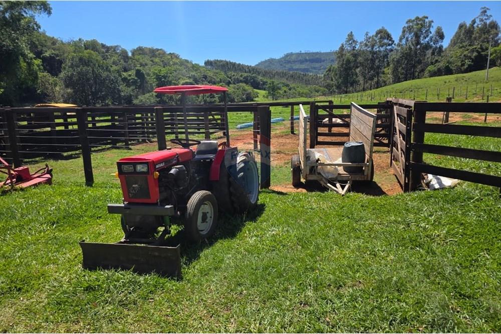 Chácara / Sítio / Fazenda - Venda - Santo Antônio da Alegria , São Paulo - IMG-20251121-WA0124.jpg - 780171030-68