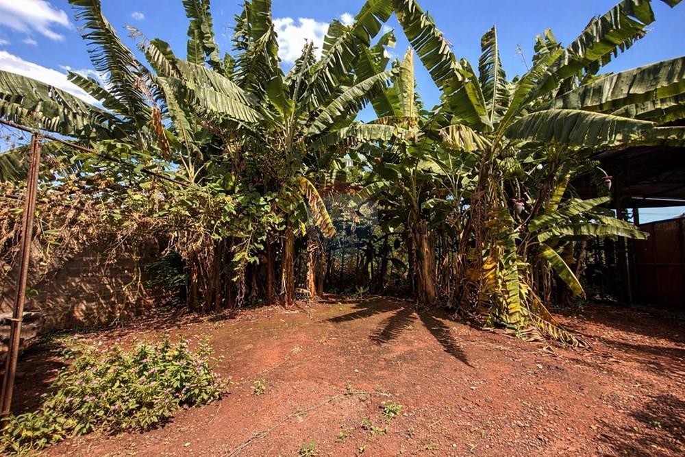 Chácara / Sítio / Fazenda - Venda - Sertãozinho , São Paulo - WhatsApp Image 2026-03-17 at 01.09.07.jpeg - 780191016-54