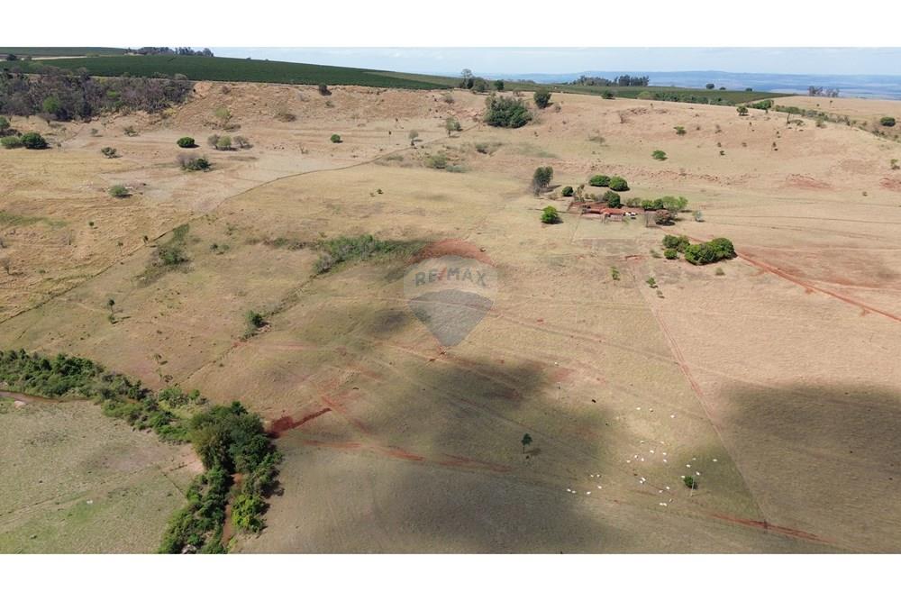 Chácara / Sítio / Fazenda - Venda - Cajuru , São Paulo - DJI_0276.JPG - 780171030-77