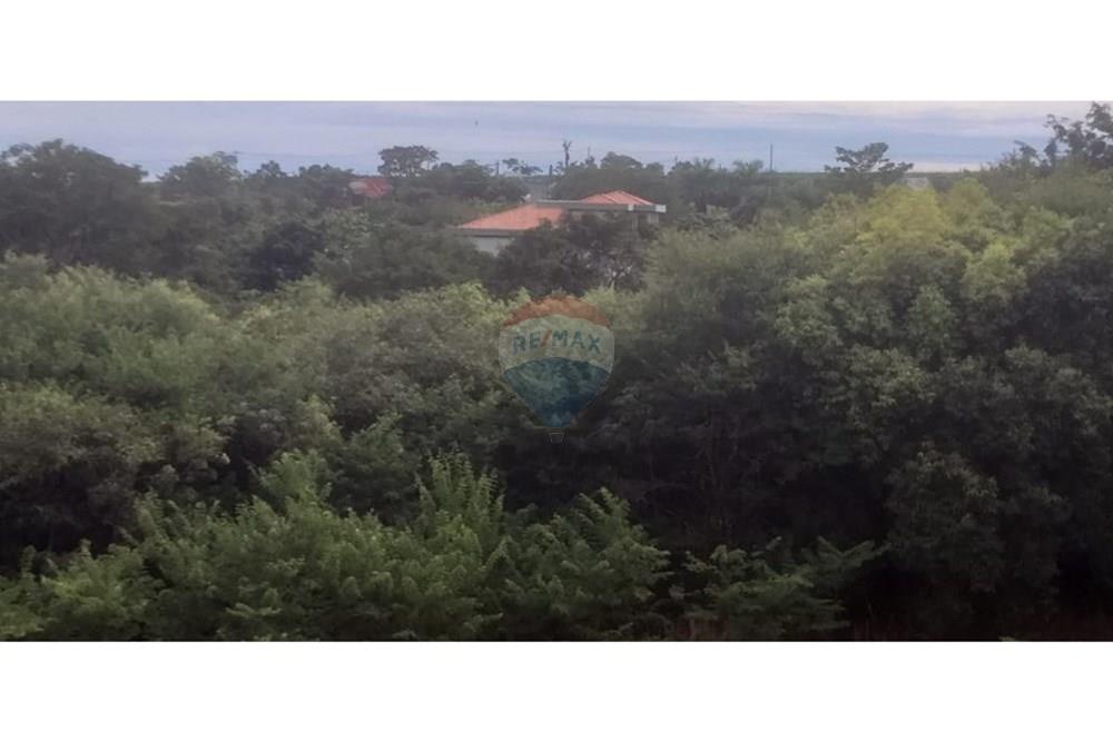 Terreno - Venda - Cristais Paulista , São Paulo - Imagem do WhatsApp de 2025-03-26 à(s) 16.23.26_072dc323.jpg - 780231035-21