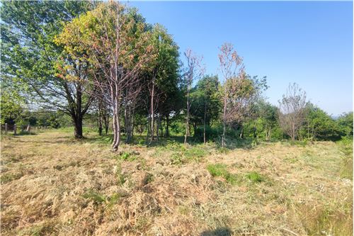 Venda-Terrenos-Ponir  -  Banja Luka, Bosna i Hercegovina-820031050-874