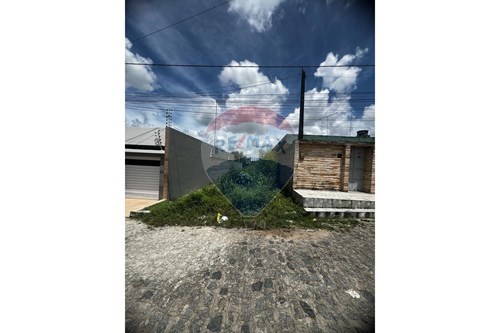 Venda-Terreno-Bairro Novo , Carpina , Pernambuco , 55810000-850261003-279