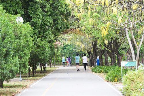 Apartamento - Alugar - Recife , Pernambuco - 20 - 850701005-336