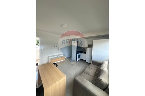 Alugar-Apart Hotel/ Flat-Av. Visconde de Albuquerque , 259  - Próximo ao Assaí  - Madalena , Recife , Pernambuco , 50610230-850251012-254