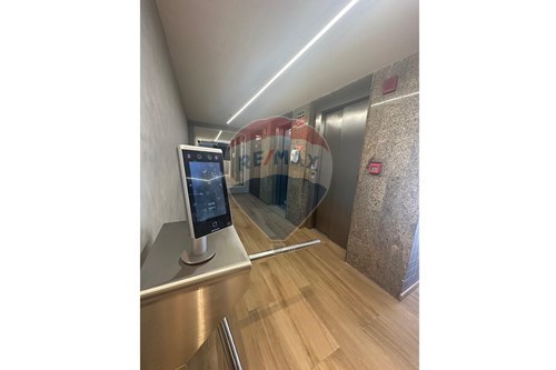 Commercial - Office - Recife , Pernambuco - BR
