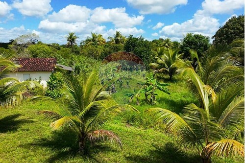 Slider Image Thumbnail