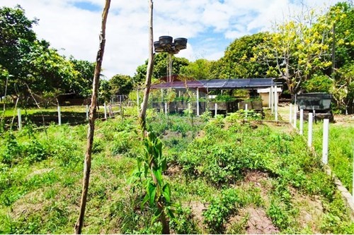 Slider Image Thumbnail