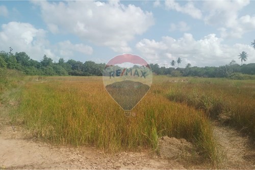 Venda-Terreno-Pontezinha , Cabo de Santo Agostinho , Pernambuco , 54530-000-850281011-134