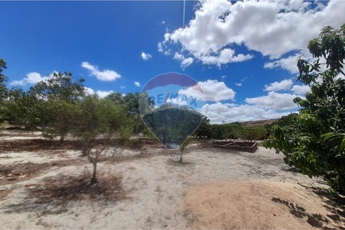 Venda-Chácara / Sítio / Fazenda-Lajedo , Lajedo , Pernambuco , 55385000-850131020-1