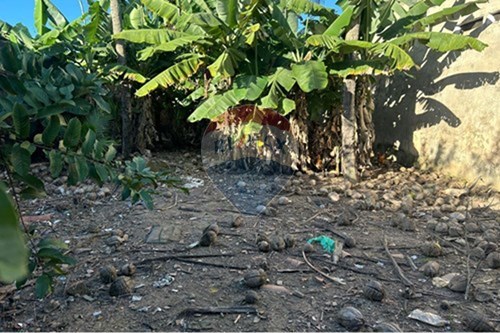 Venda-Terreno-Avenida Galbino Besouro , 18  - Cidade Universitária , Maceió , Alagoas , 57073-595-850271156-119