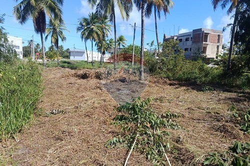 Slider Image Thumbnail