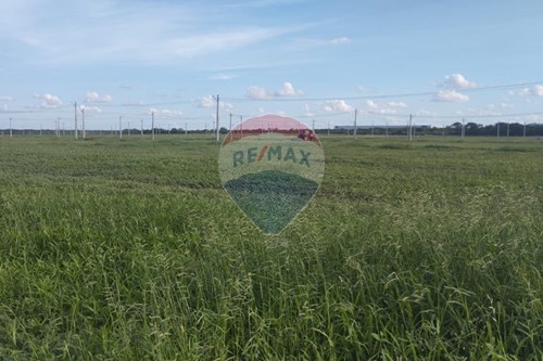 Venda-Terreno-Loteamento Recife , Petrolina , Pernambuco , 56320774-850611026-7