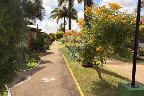 Slider Image Thumbnail