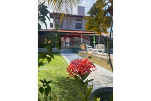 Venda-Casa de Condomínio-Muro Alto , Ipojuca , Pernambuco , 55590000-850221031-272