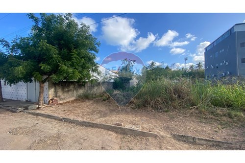 Venda-Terreno-Peroba/Maragogi - AL , Lote P10  - Centro , Maragogi , Alagoas , 57955000-850271264-32