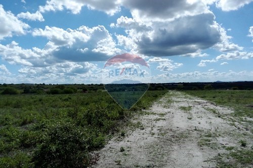 Venda-Chácara / Sítio / Fazenda-Lajedo , Lajedo , Pernambuco , 55385000-850131003-43