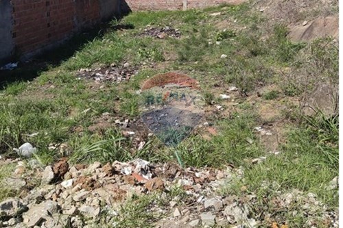 Venda-Terreno-RUA PROJETADA , SN  - PRÓX. DA ESCOLA BEJAMITA  - Centro , Bonito , Pernambuco , 55680000-850051012-93