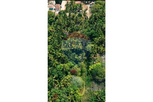 Venda-Chácara / Sítio / Fazenda-Mucuri , Marechal Deodoro , Alagoas , 57160000-850711032-23