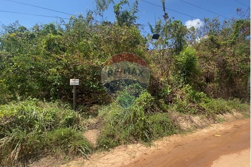 Venda-Terreno-Loamento Praia Dourada II , LOTE L2  - Rua do Rei das Coxinhas  - Centro , Maragogi , Alagoas , 57955000-850271264-22