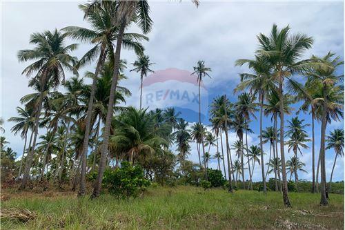 Venda-Terreno-Ilha do João  Ferreira , S/N  - Pousada das Acácias  - Centro , Tamandaré , Pernambuco , 55578000-850221010-32