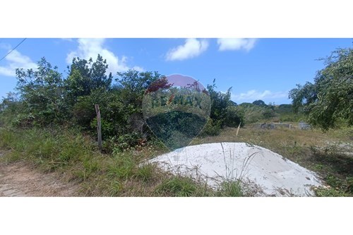 Venda-Terreno-Centro , Santo Amaro das Brotas , Sergipe , 49.180.000-850581216-34