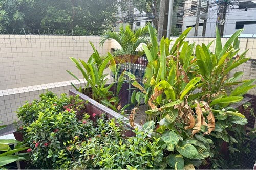 Slider Image Thumbnail