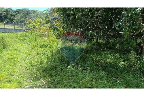 Venda-Terreno-Aurora , Paulista , Pernambuco , 53500-990-850501060-494