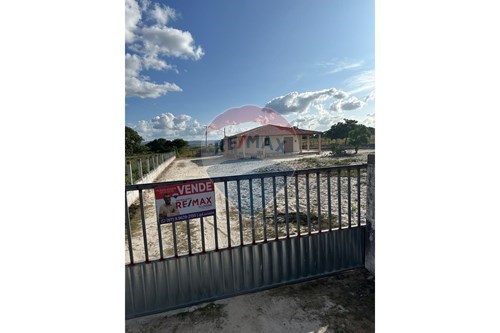 Venda-Chácara / Sítio / Fazenda-sitio vieira -jucati PE , SEM NUMERO  - DISTRITO DE SÃO PEDRO  - Centro , Jucati , Pernambuco , 55398-000-850131003-419