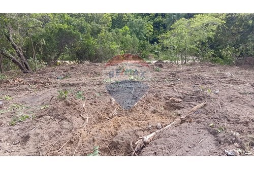 Venda-Terreno-Enseada dos Corais , Cabo de Santo Agostinho , Pernambuco , 54590000-850281042-23