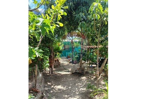 Venda-Casa-Porto Grande , Marechal Deodoro , Alagoas , 57160000-850641063-14