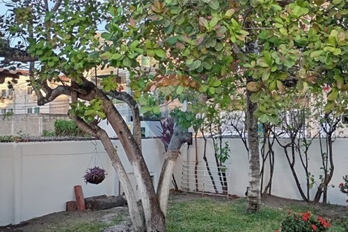 Slider Image Thumbnail