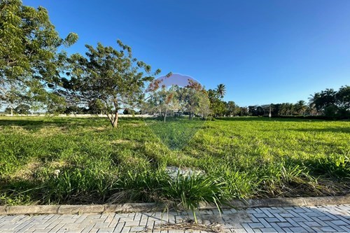 Venda-Terreno-Centro , Paudalho , Pernambuco , 55819000-850261040-4