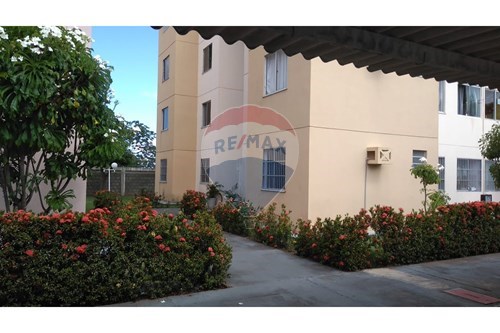 Aruana , Aracaju , Sergipe , 49001231